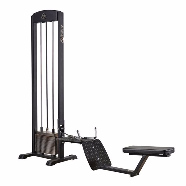 210 Gymleco Sittande Rodd