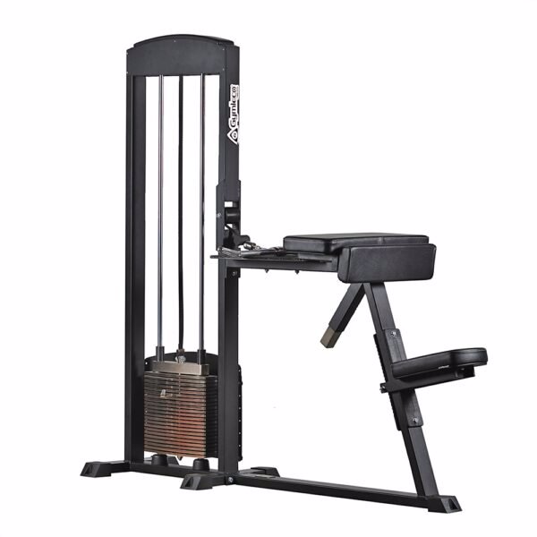 255 Gymleco Biceps / Triceps
