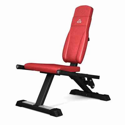 954 Gymleco Axellyft & dips - cirkelträning
