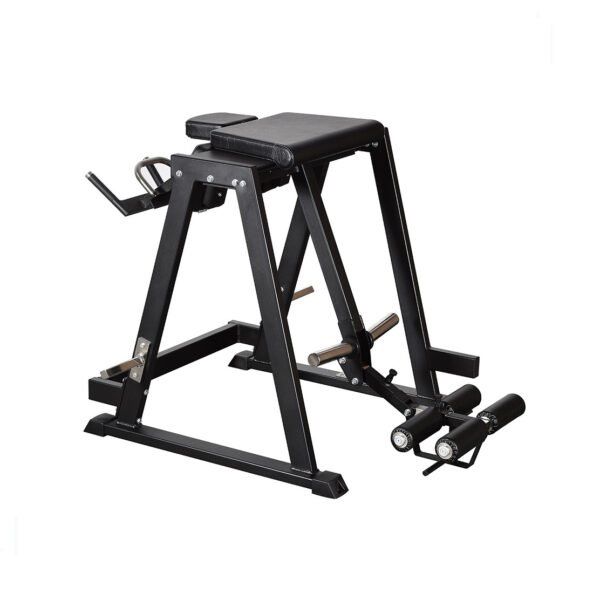 062 Gymleco Reverse Hyper Pendel