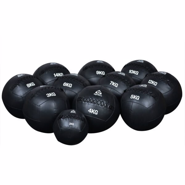 789 Gymleco Wall Balls 2-14 kg